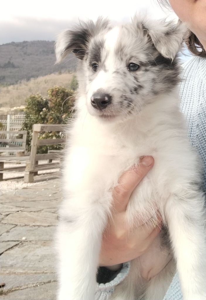 Arya De La Legende De La Gravenne